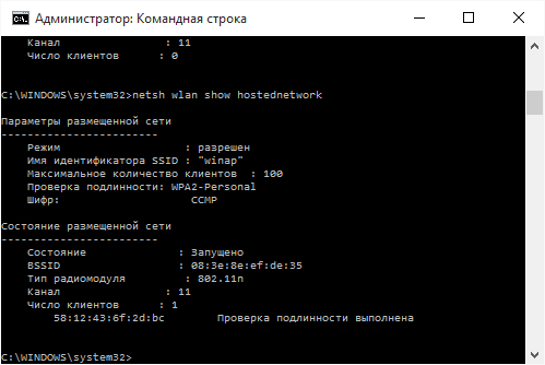 Командная строка Windows 10 - проверка точки доступа